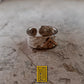 Ring for Past Master